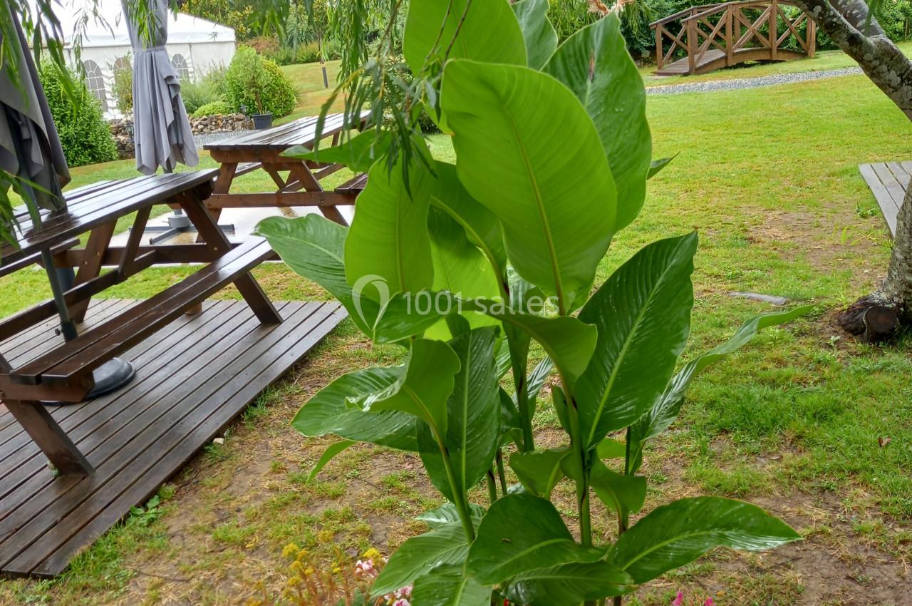 Plante verte dans un bac en bois entourée de fleurs colorées, placée près d'une terrasse en bois dans un jardin verdoyant.