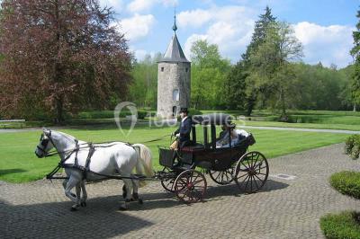Location salle Gerpinnes (Hainaut) - Château D'acoz #24