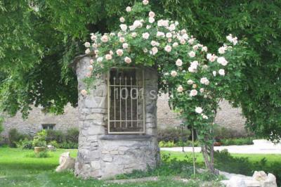 Location salle Saint-Genès-du-Retz (Puy-de-Dôme) - Des Roses et des Tours #24