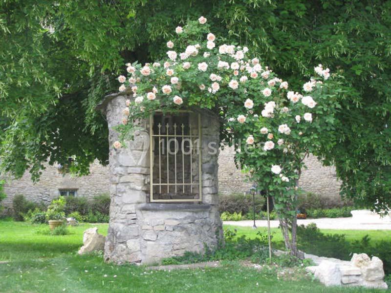 Location salle Saint-Genès-du-Retz (Puy-de-Dôme) - Des Roses et des Tours #15