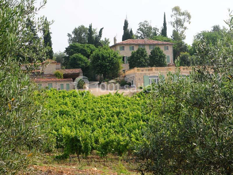 Vue d'une maison en pierre entourée de vignes, d'oliviers et de végétation méditerranéenne sous un ciel clair.