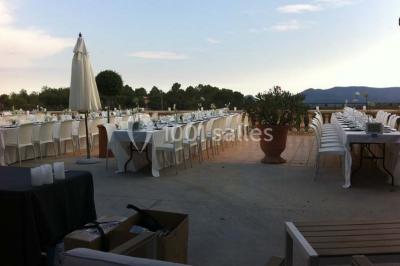 Champ de lavande au premier plan avec des vignes verdoyantes en arrière-plan et des collines à l'horizon.