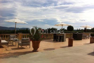 Champ de lavande au premier plan avec des vignes verdoyantes en arrière-plan et des collines à l'horizon.