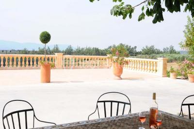 Champ de lavande au premier plan avec des vignes verdoyantes en arrière-plan et des collines à l'horizon.