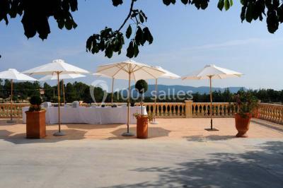 Champ de lavande au premier plan avec des vignes verdoyantes en arrière-plan et des collines à l'horizon.