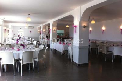 Champ de lavande au premier plan avec des vignes verdoyantes en arrière-plan et des collines à l'horizon.