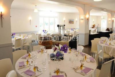 Champ de lavande au premier plan avec des vignes verdoyantes en arrière-plan et des collines à l'horizon.