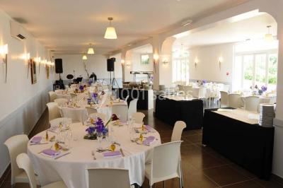 Champ de lavande au premier plan avec des vignes verdoyantes en arrière-plan et des collines à l'horizon.