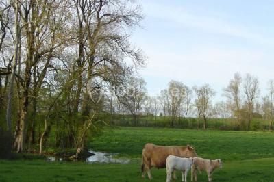 Miniature Location salle Beauvoir-sur-Niort (Deux-Sèvres) - Domaine De La Gravette #7 Location salle Beauvoir-sur-Niort (Deux-Sèvres) - Domaine De La Gravette #20