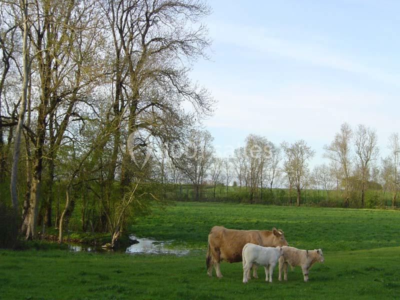 Location salle Beauvoir-sur-Niort (Deux-Sèvres) - Domaine De La Gravette #7