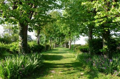 Miniature Location salle Beauvoir-sur-Niort (Deux-Sèvres) - Domaine De La Gravette #17 Location salle Beauvoir-sur-Niort (Deux-Sèvres) - Domaine De La Gravette #20