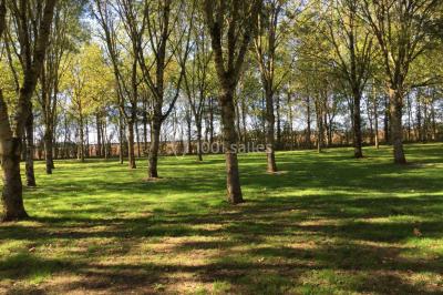 Salle avec des rangées de chaises en plastique beige face à une scène surélevée dans un espace lumineux.