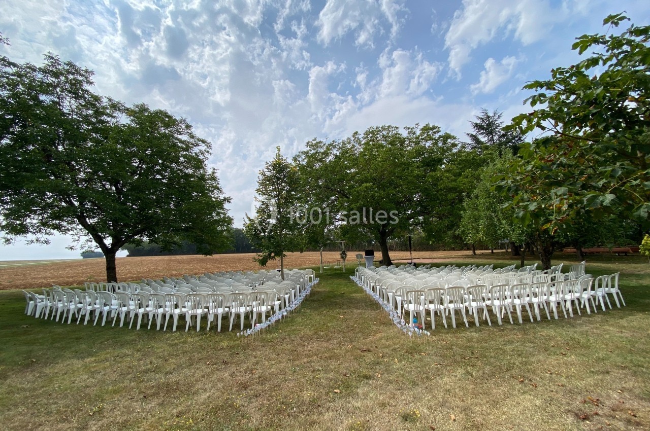 Chaises blanches disposées en extérieur sous des arbres, formant une allée centrale, sur une pelouse par temps clair.