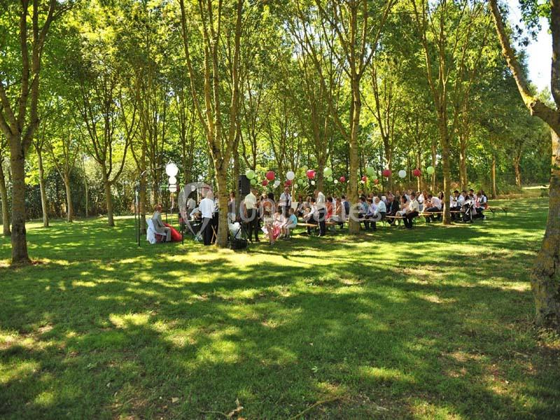 Un groupe de personnes assises à des tables en bois dans un parc ombragé, décoré de ballons suspendus.