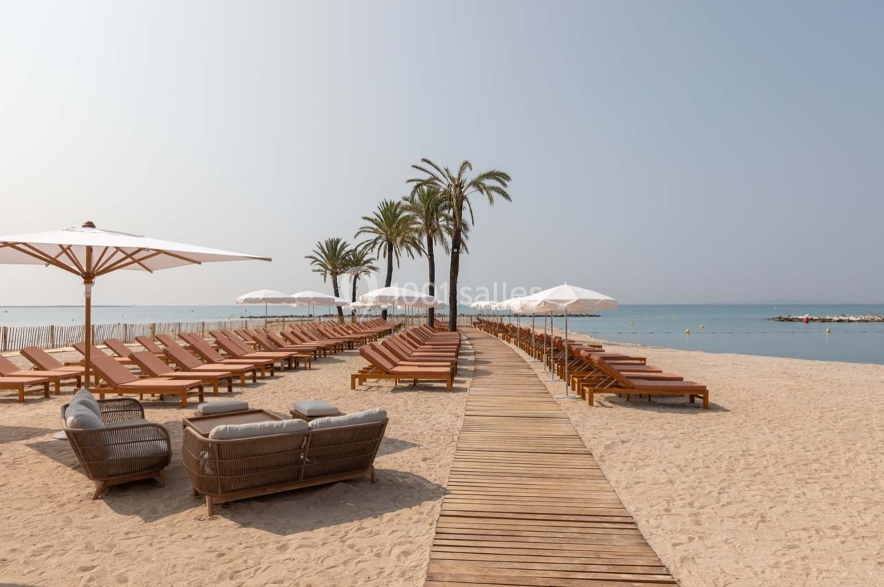 Chaises longues et parasols alignés sur une plage de sable avec des palmiers et une vue sur la mer calme.
