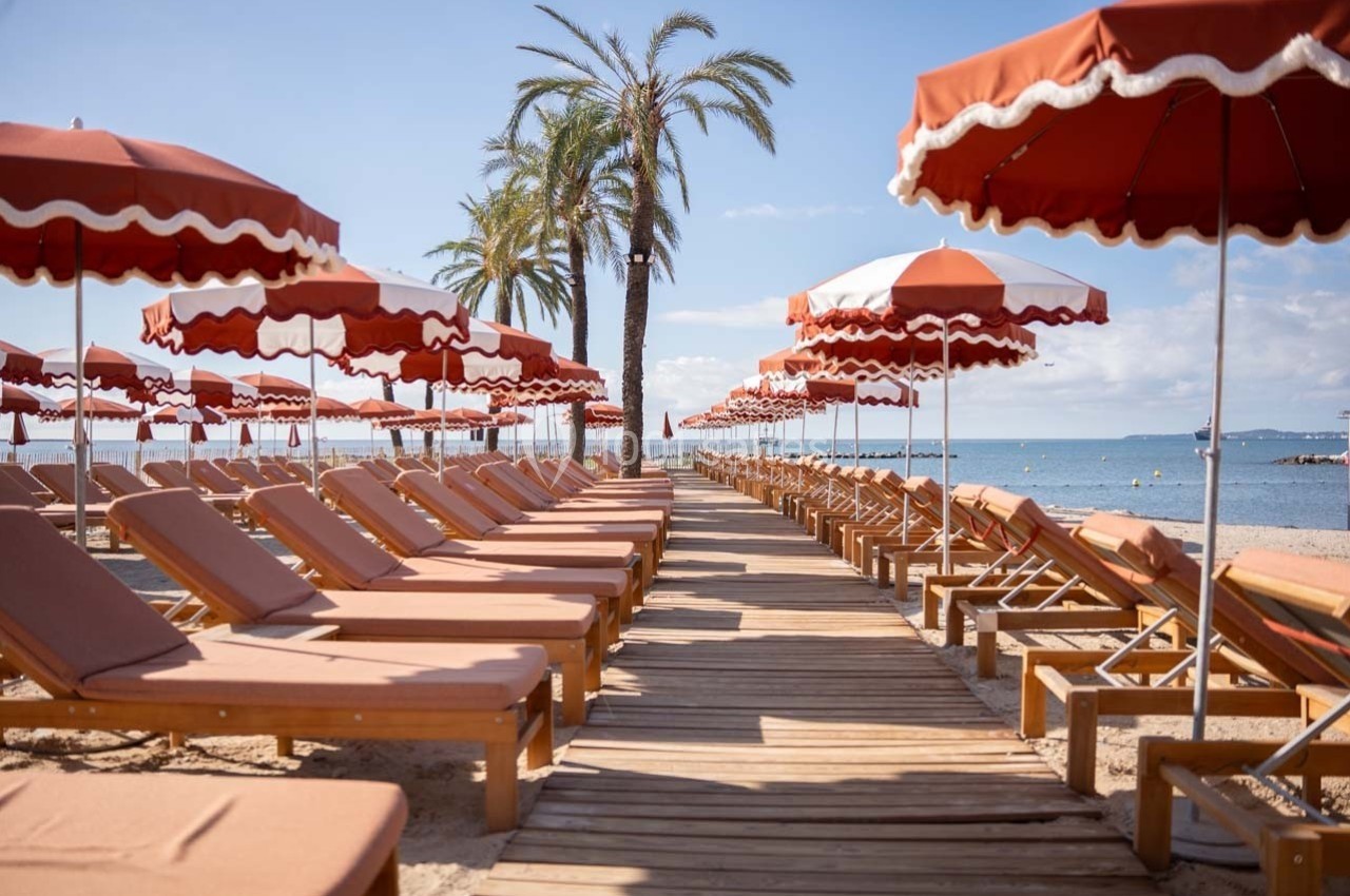Alignement de transats et parasols rouges sur une plage ensoleillée avec vue sur la mer et des palmiers en arrière-plan.