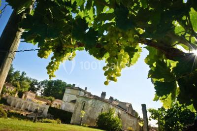 Location salle Saint-Bris-des-Bois (Charente-Maritime) - Abbaye De Fontdouce #18
