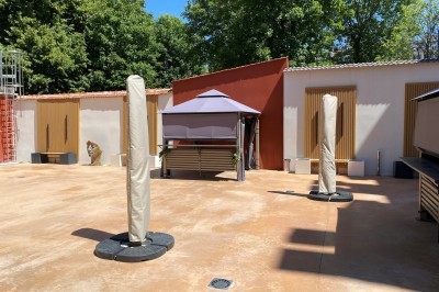 Location salle Épernay (Marne) - Cellier 1924 #28