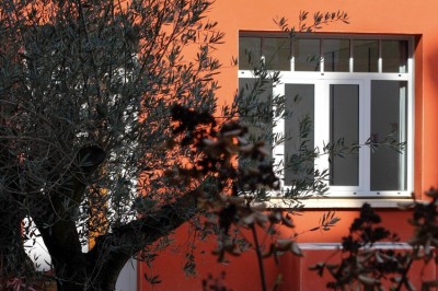 Location salle Épernay (Marne) - Cellier 1924 #28