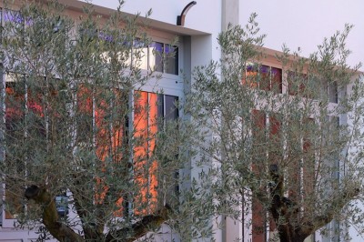 Location salle Épernay (Marne) - Cellier 1924 #28