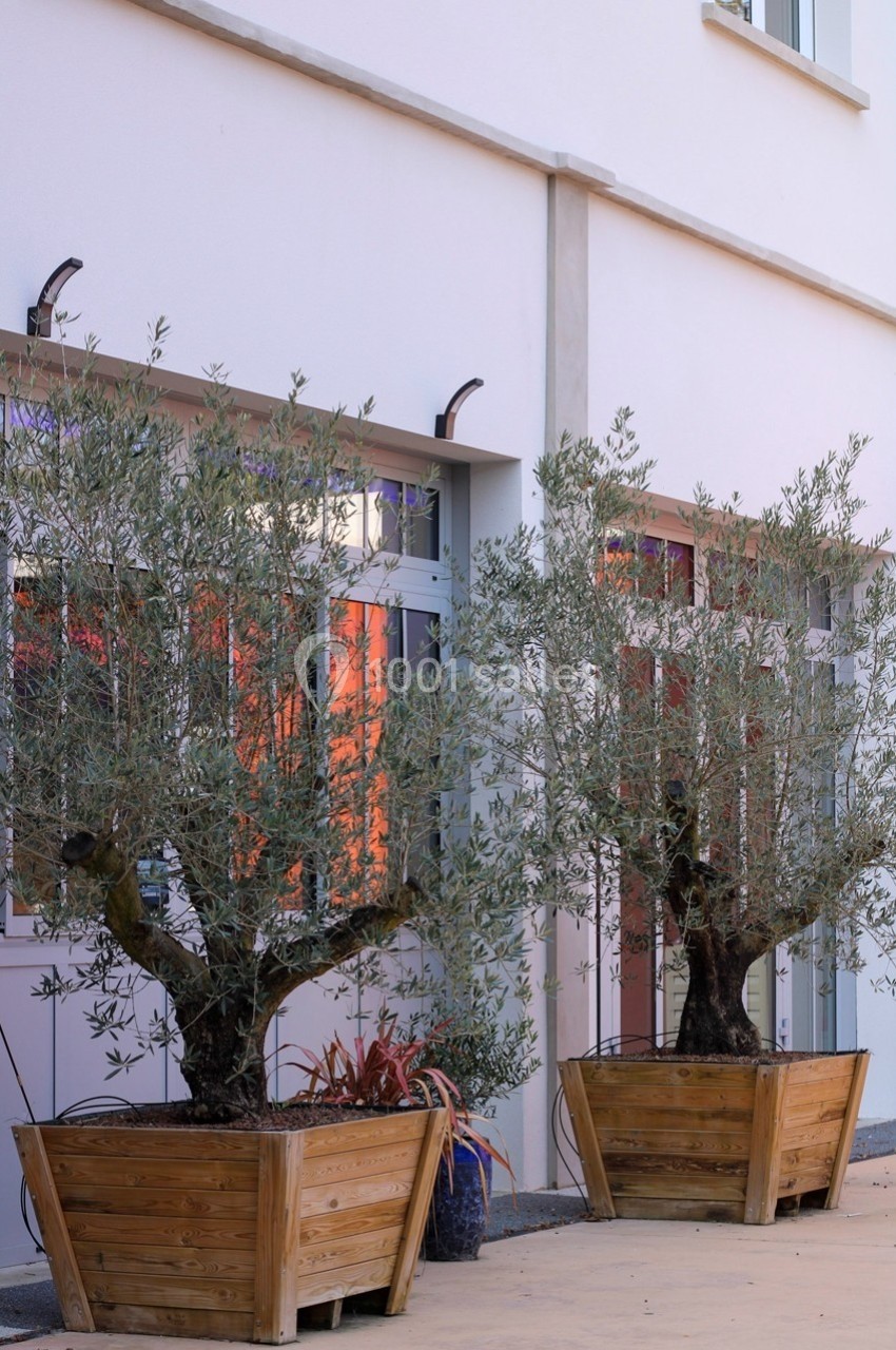 Location salle Épernay (Marne) - Cellier 1924 #17