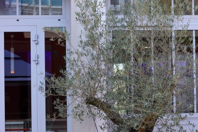 Location salle Épernay (Marne) - Cellier 1924 #28