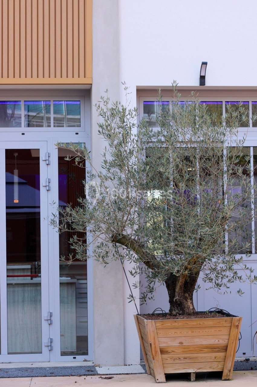 Location salle Épernay (Marne) - Cellier 1924 #18