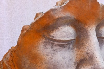 Location salle Épernay (Marne) - Cellier 1924 #28