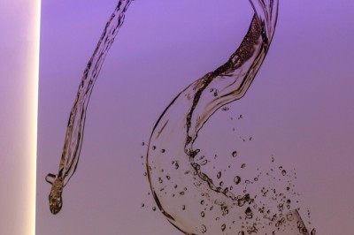 Location salle Épernay (Marne) - Cellier 1924 #28