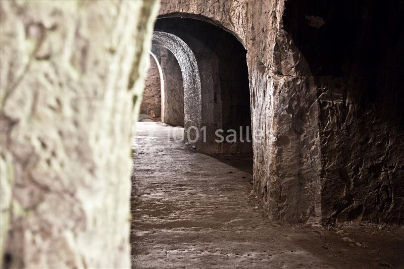 Location salle Épernay (Marne) - Champagne Georges Cartier #10