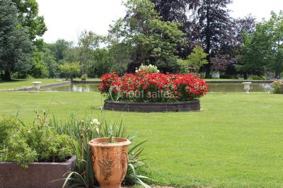 Étang naturel entouré de végétation, avec des chaises longues en arrière-plan et des pierres au premier plan.