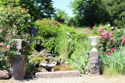 Étang naturel entouré de végétation, avec des chaises longues en arrière-plan et des pierres au premier plan.