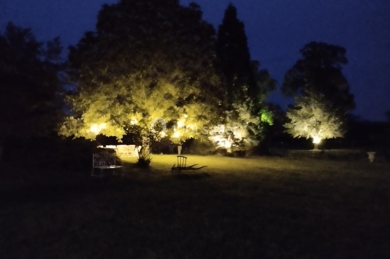 Arbres illuminés par des lumières jaunes dans un jardin sombre, sous un ciel nocturne.