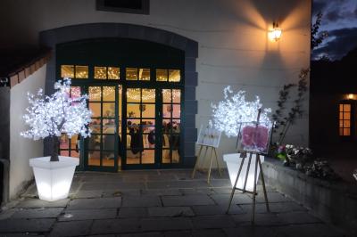 Étang naturel entouré de végétation, avec des chaises longues en arrière-plan et des pierres au premier plan.