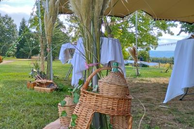 Étang naturel entouré de végétation, avec des chaises longues en arrière-plan et des pierres au premier plan.