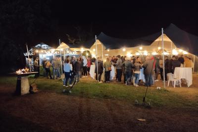 Étang naturel entouré de végétation, avec des chaises longues en arrière-plan et des pierres au premier plan.