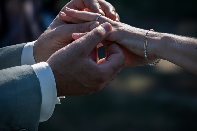 Champ de lotus en fleurs avec des feuilles vertes, des bourgeons et un étang en arrière-plan, entouré d'arbres.