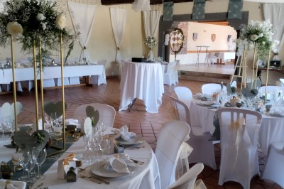 Champ de lotus en fleurs avec des feuilles vertes, des bourgeons et un étang en arrière-plan, entouré d'arbres.