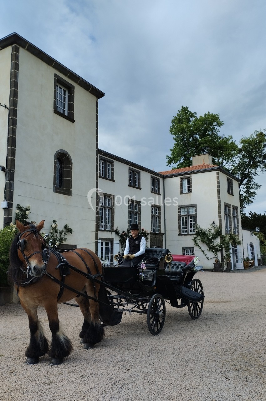 Cheval tirant une calèche devant un bâtiment ancien à façade blanche, entouré de végétation.