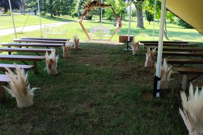 Étang naturel entouré de végétation, avec des chaises longues en arrière-plan et des pierres au premier plan.