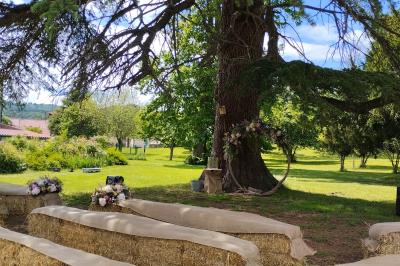 Étang naturel entouré de végétation, avec des chaises longues en arrière-plan et des pierres au premier plan.
