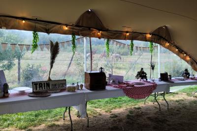 Étang naturel entouré de végétation, avec des chaises longues en arrière-plan et des pierres au premier plan.