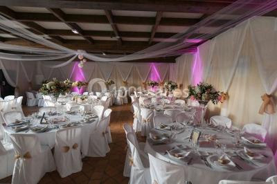 Étang naturel entouré de végétation, avec des chaises longues en arrière-plan et des pierres au premier plan.