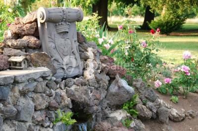 Étang naturel entouré de végétation, avec des chaises longues en arrière-plan et des pierres au premier plan.