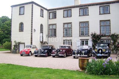 Étang naturel entouré de végétation, avec des chaises longues en arrière-plan et des pierres au premier plan.