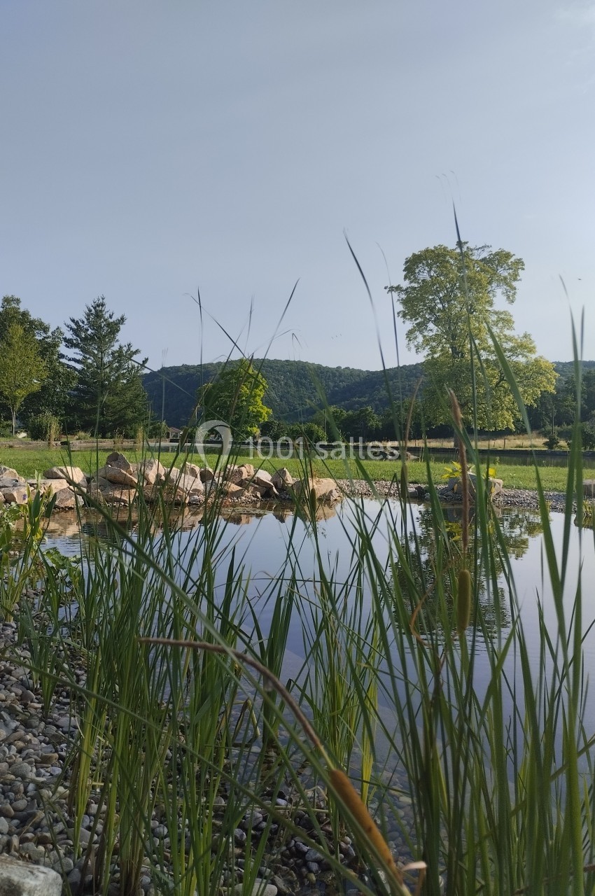 Étang entouré de végétation avec des roseaux au premier plan, des arbres et des collines en arrière-plan.