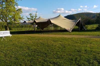 Étang naturel entouré de végétation, avec des chaises longues en arrière-plan et des pierres au premier plan.
