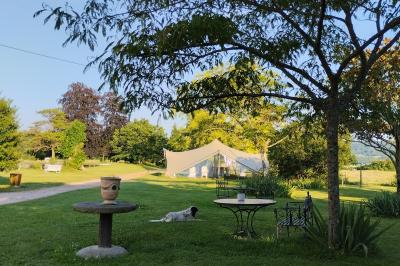 Étang naturel entouré de végétation, avec des chaises longues en arrière-plan et des pierres au premier plan.