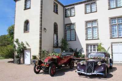Champ de lotus en fleurs avec des feuilles vertes, des bourgeons et un étang en arrière-plan, entouré d'arbres.