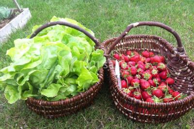 Location salle Savigné-l'Évêque (Sarthe) - Les Bussonnières #20